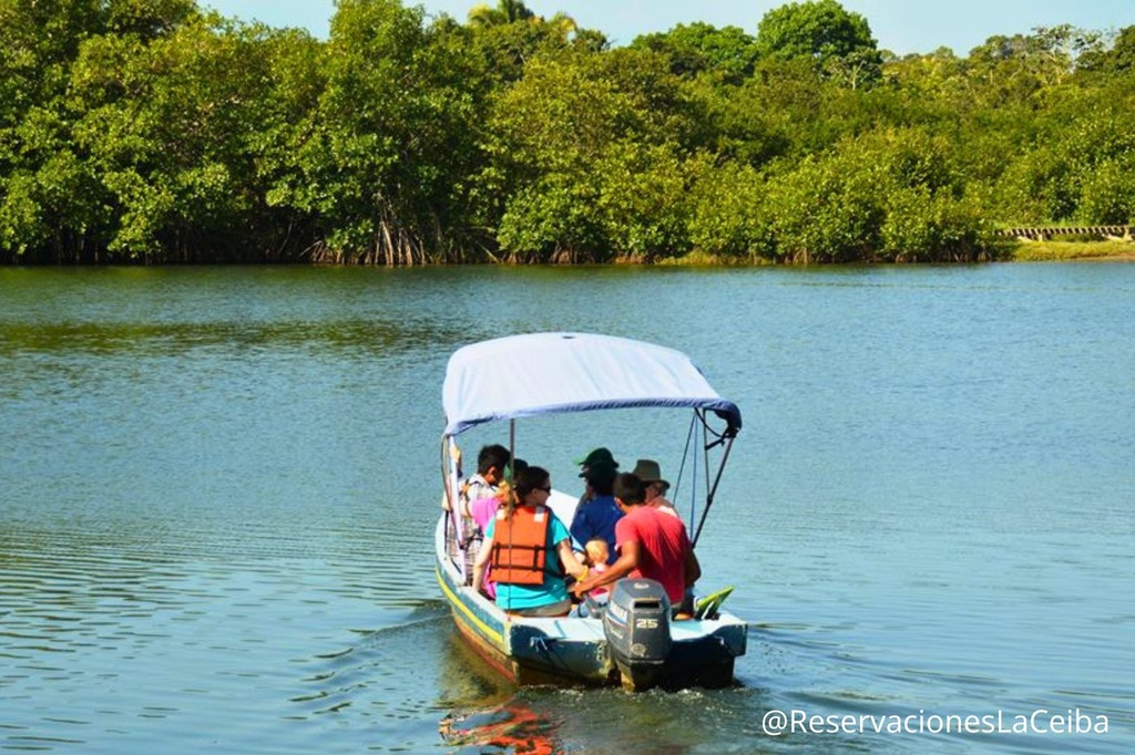 Tour en Cuero y Salado