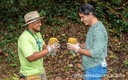 Tour de Piña