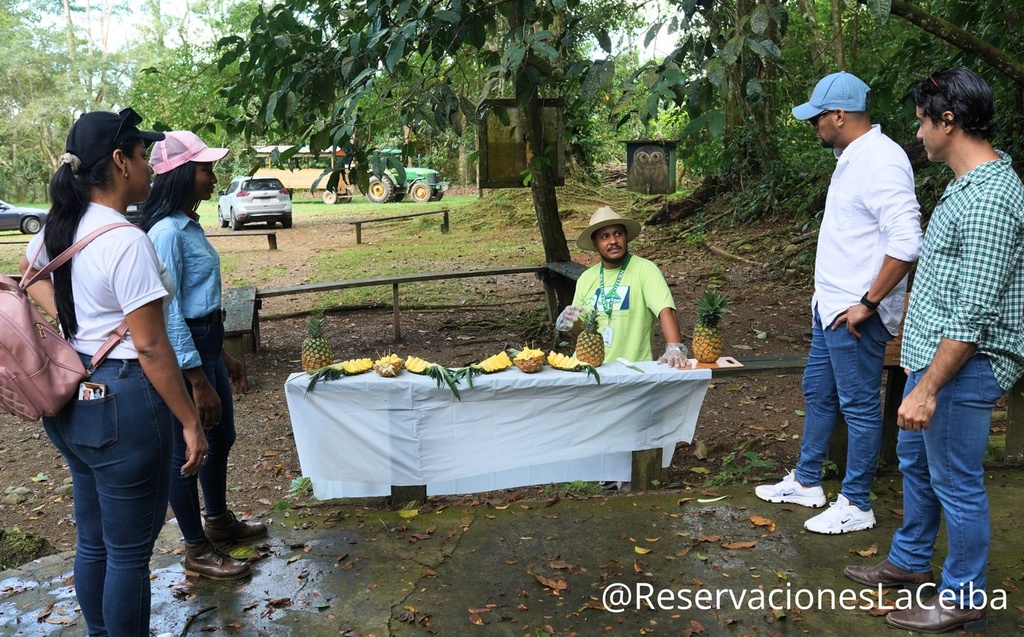 Tour de Piña