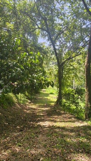 Cuenca del rio cangrejal – Sendero La Relumbrosa