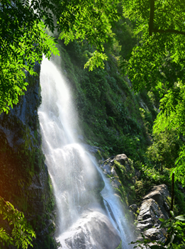Cuenca del Rio cangrejal- Sendero El Bejuco